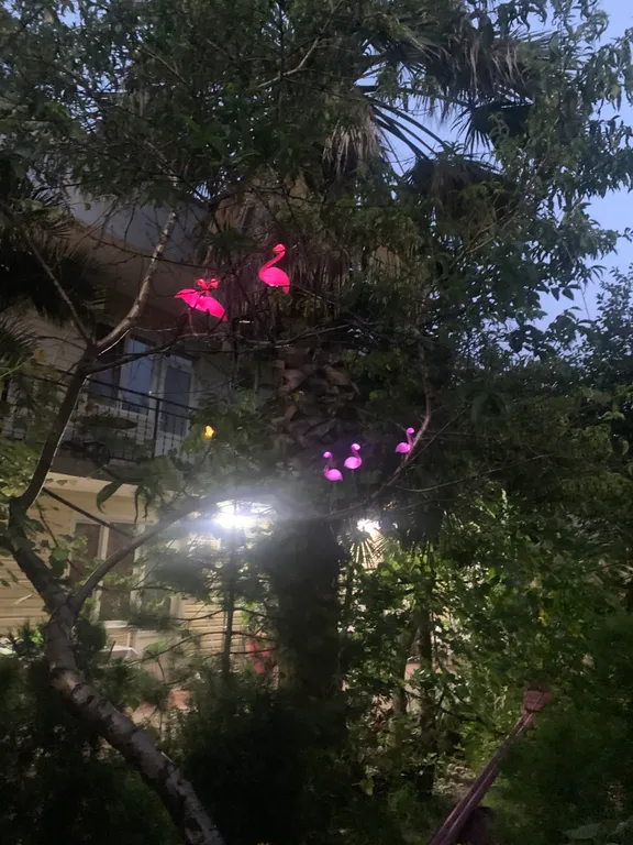 Квартира Комната — Адлер