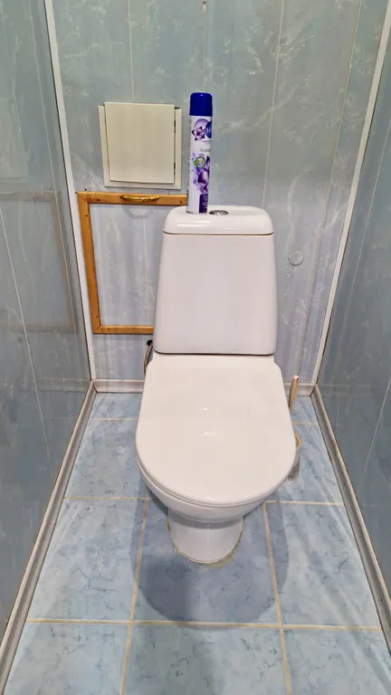 Двухкомнатная квартира с ремонтом