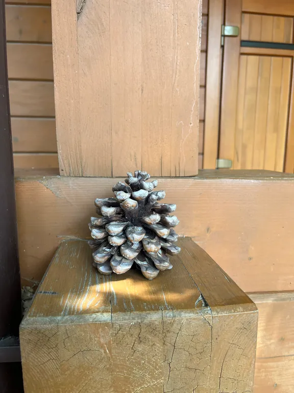 Деревянный дом с приватной территорией