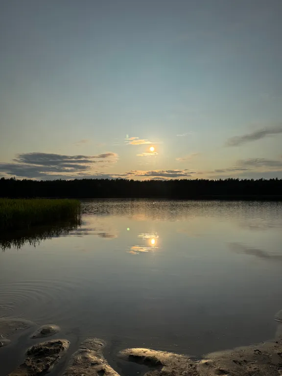 Уютный дом в Сосновом лесу