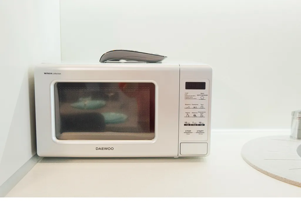 Квартира 2-комнатная Квартира — Светлогорск