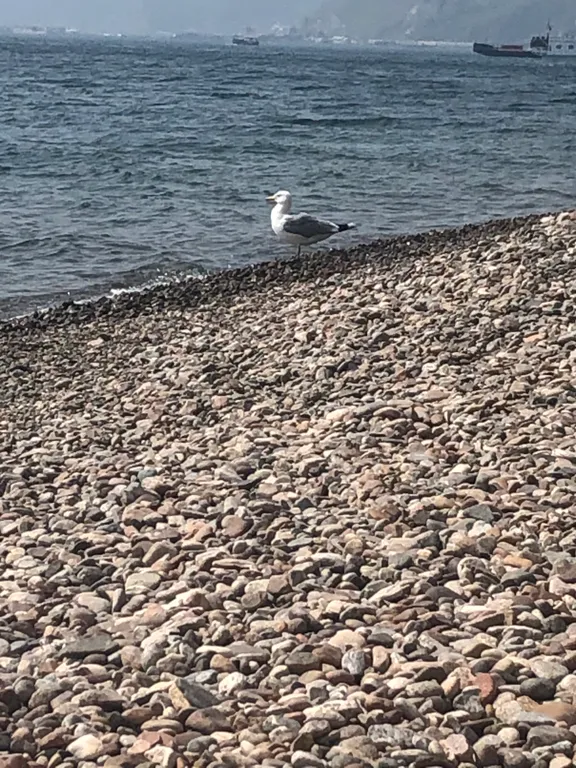 «Златогорье-флэт» - квартира с завораживающим видом на о. Байкал