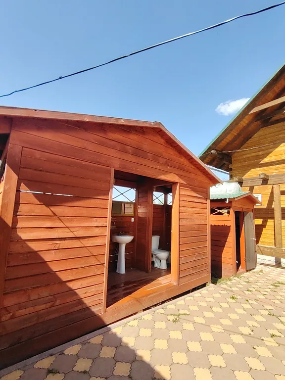 Летний номер с видом на березовый лес