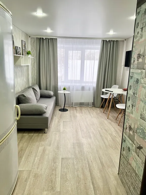 Студия светлая, район педагогического университета