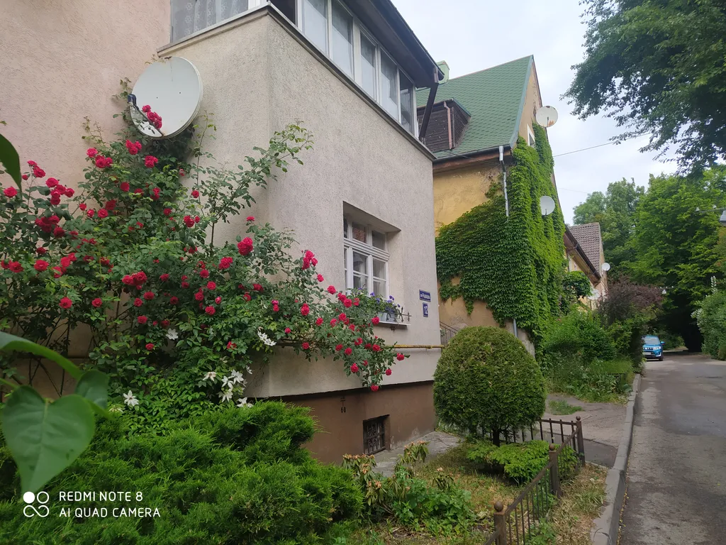 Прусский Кот  (в историческом районе Ratshof на границе с Amalienau)