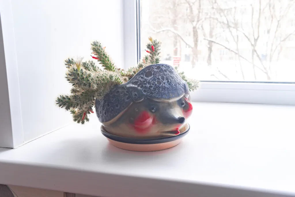 Уютная двушка в центре