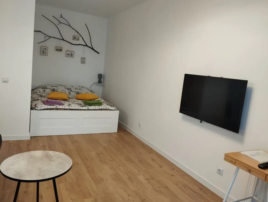 Уютная квартира-студия в центре города