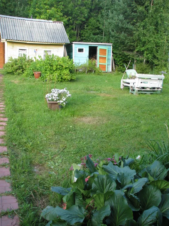 Уютный дом в местечке Лососинное