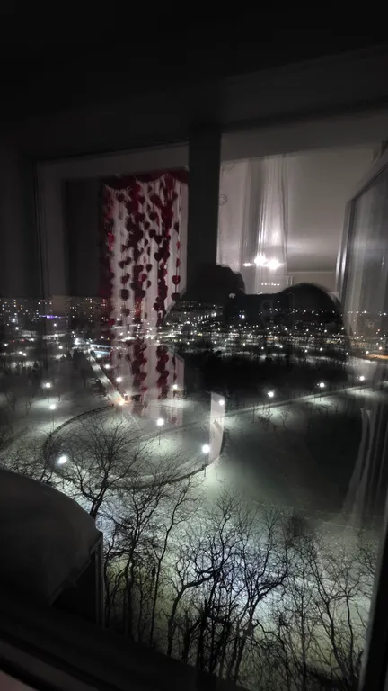 Видовая квартира с видом на парк 300-летия