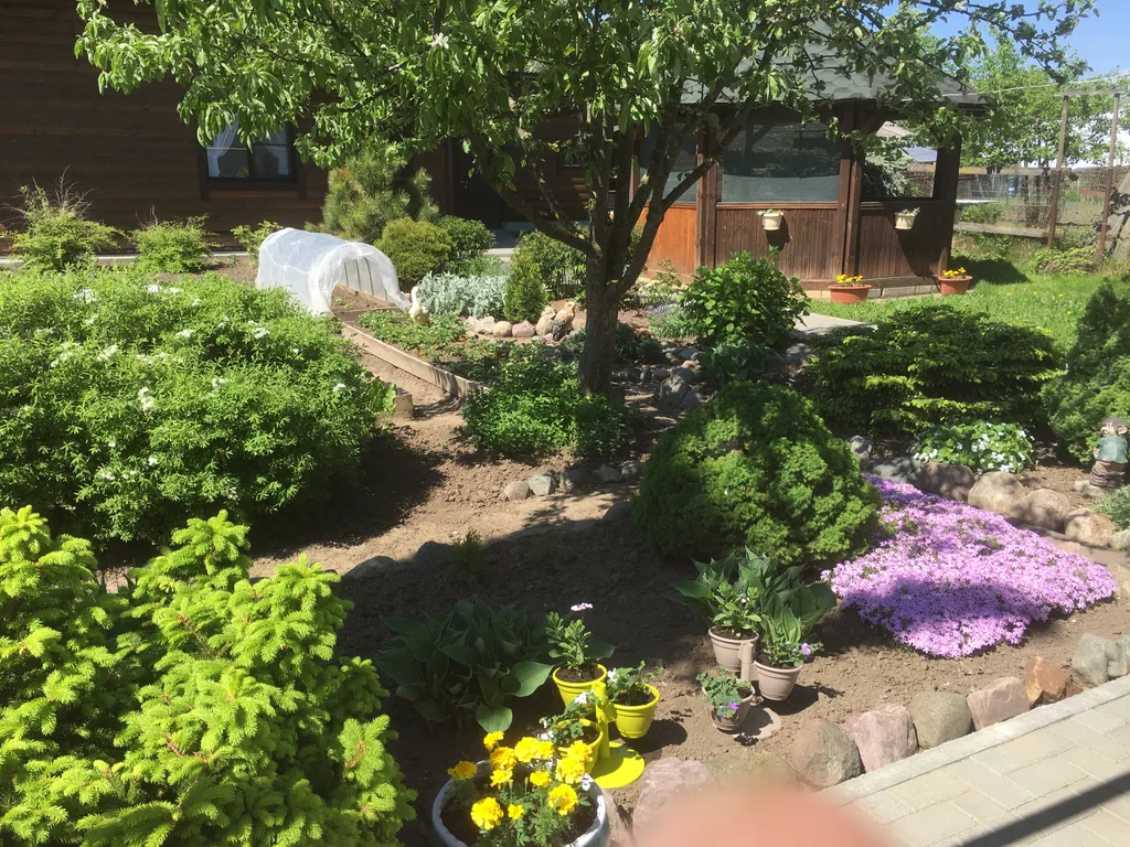 Домик с Сауной 2