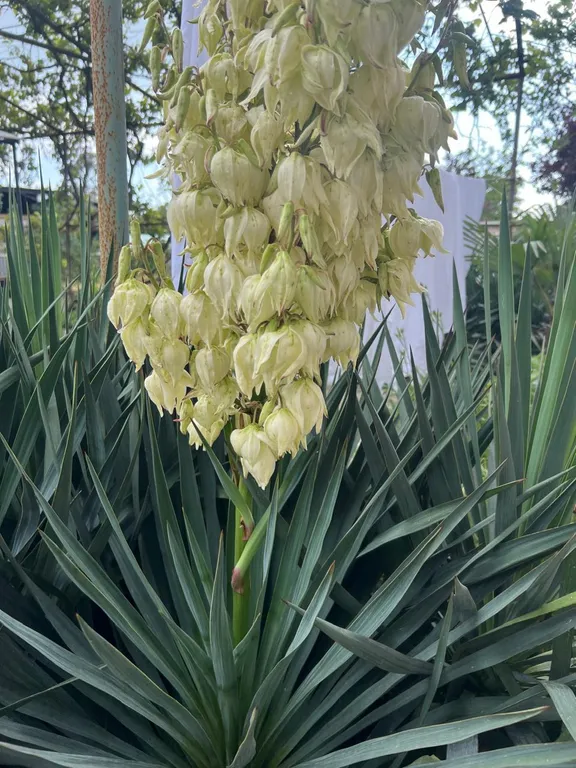 Прям у моря жильё