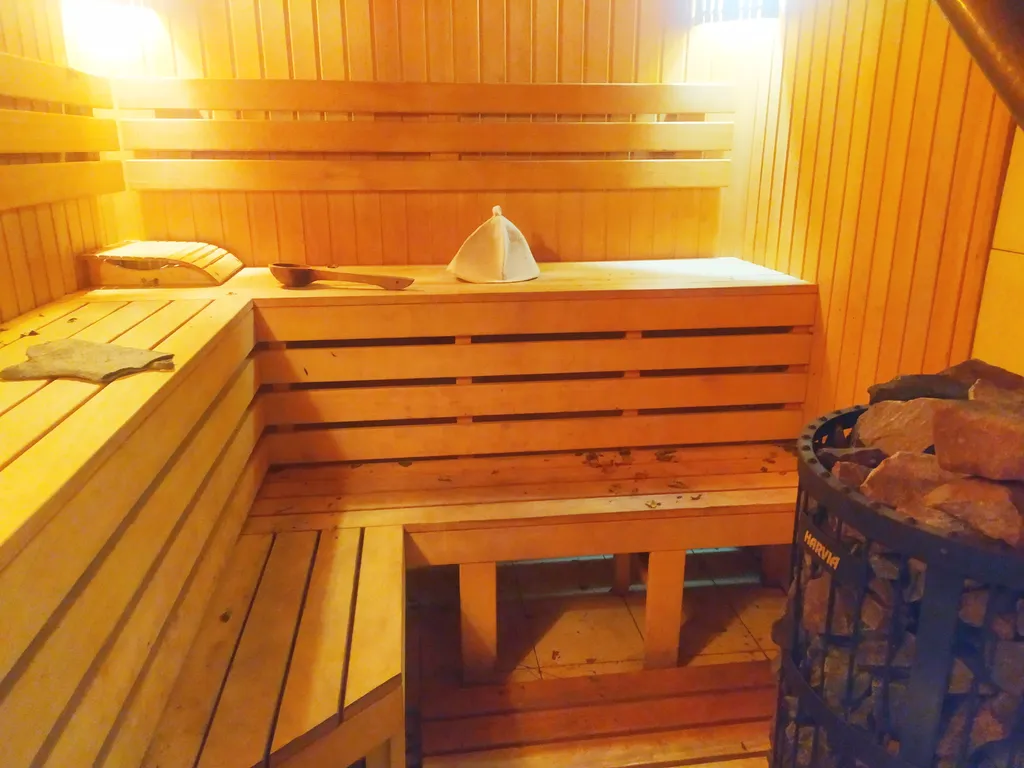 Дом с баней на дровах