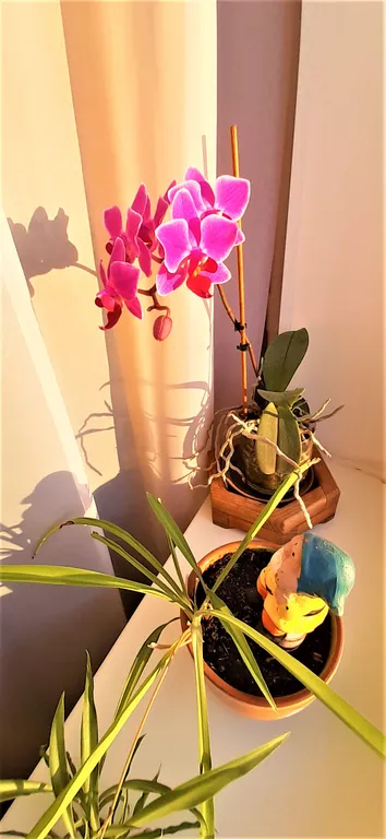 Двухкомнатная квартира у Империала с домашним уютом и чистотой