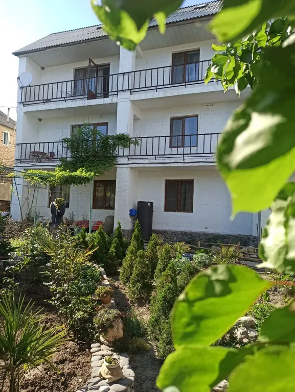 Афина Полтава