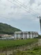 Алёна