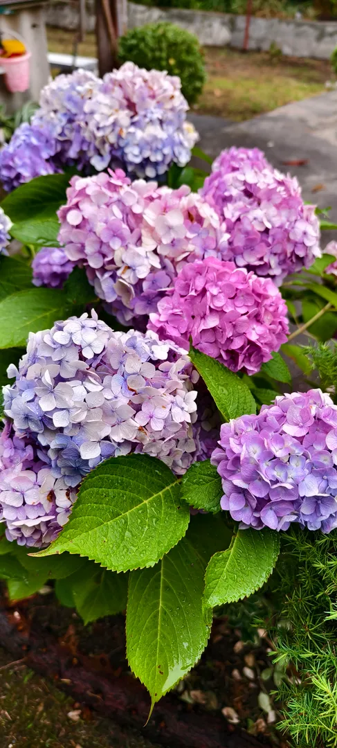 Фото
