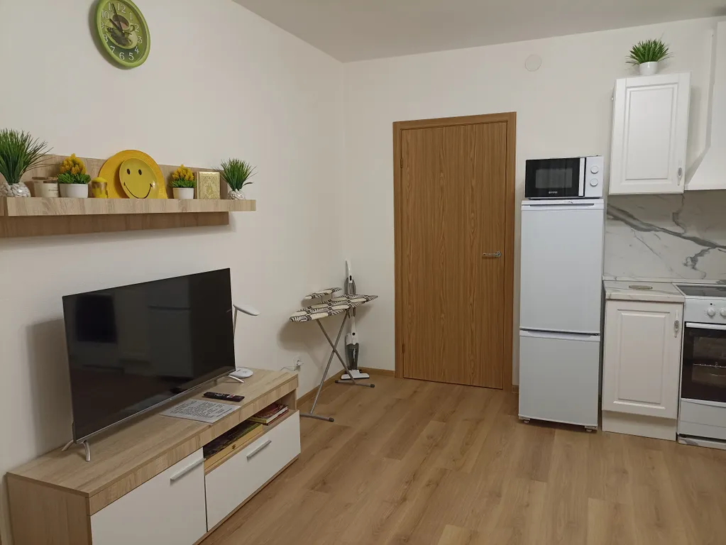 Квартира Квартира Уютная студия у НИИ имени Петрова с бесконтактным заселением — Песочный