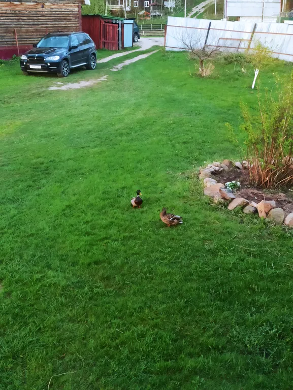 Гостевой дом Белькино 1.