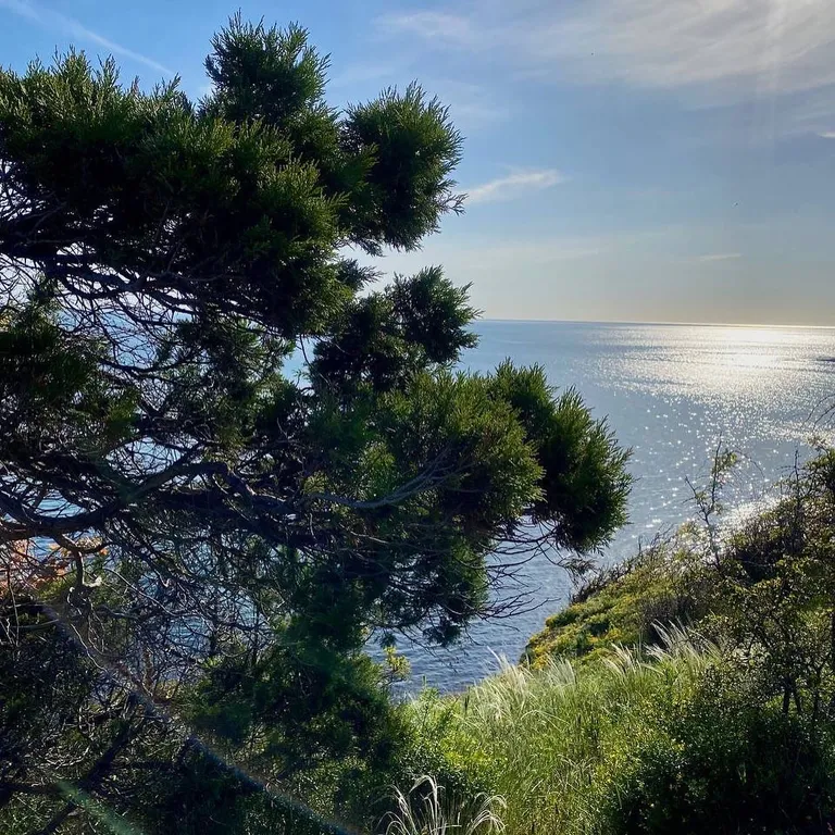 Апартамент в заповеднике с видом на море