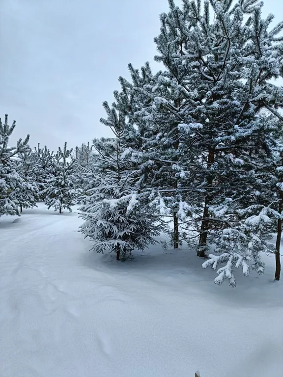Коттедж Коттедж А-фрейм на берегу Можайского водохранилища — Можайск