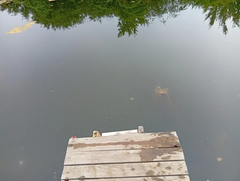 База Акапулько на озерце