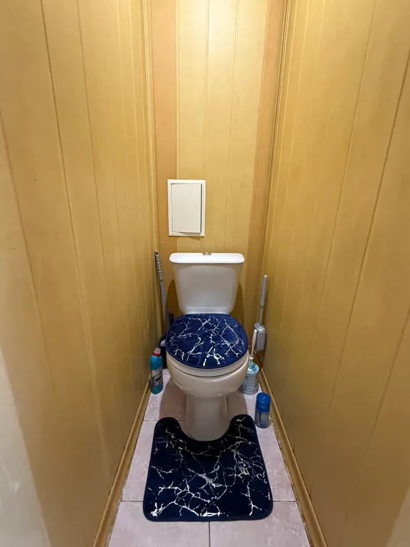 Все в гости к Аленке