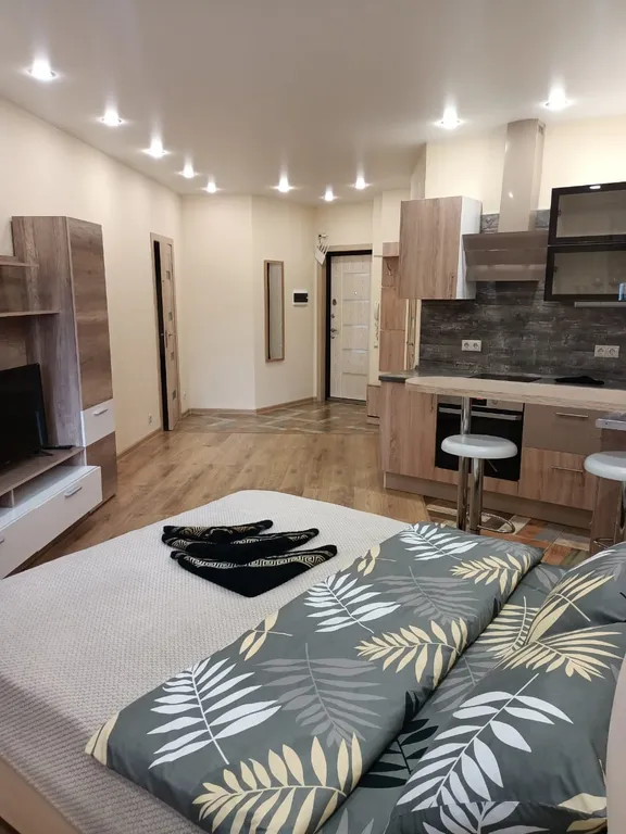 Уютная и просторная студия с отличным ремонтом