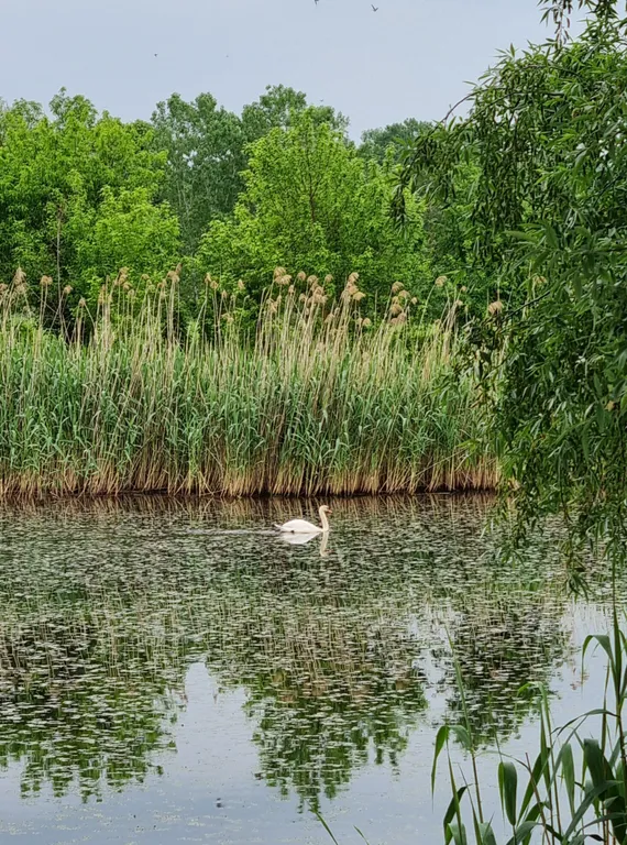 Квартира Квартира с видом на озеро — Горячий Ключ