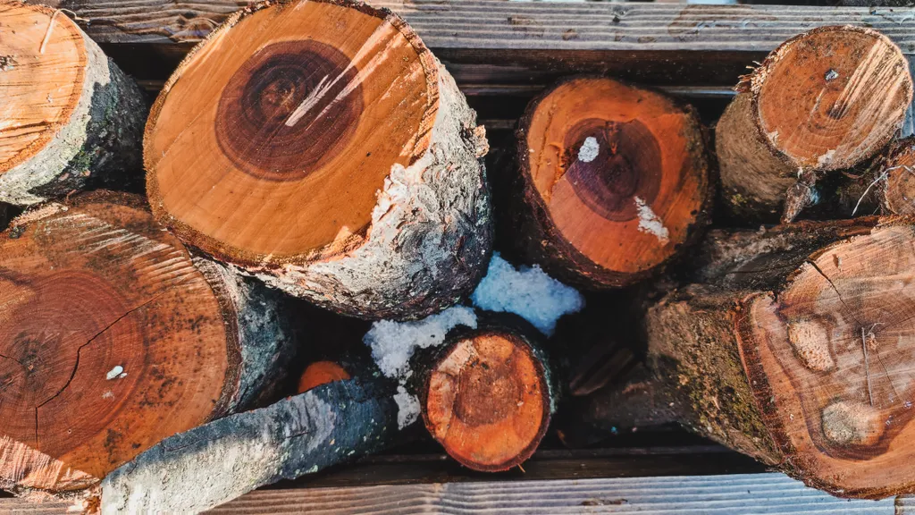 Коттедж Современный, уютный эко дом под виноградником с террасой — Кисловодск