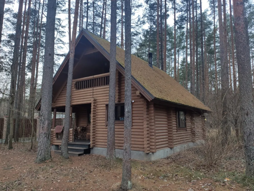 Уютный коттедж в сосновом лесу на берегу Суходольского озера