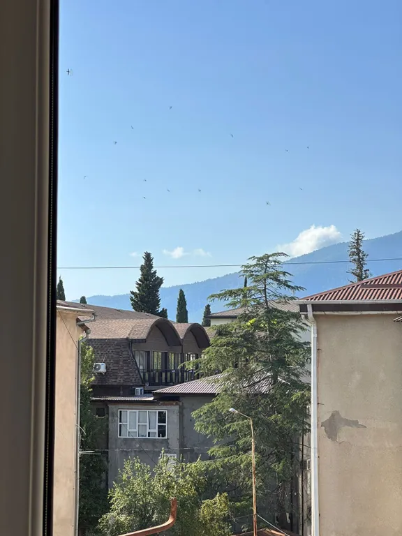 Квартира Однокомнатная квартира в 2 минутах от моря — Гагра