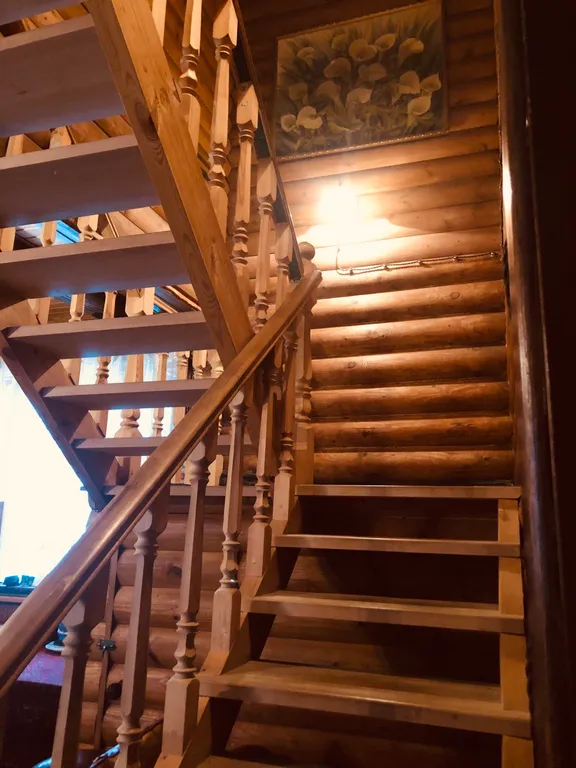 Изба (дом) из экологически чистого бревна под камышовой крышей в лесу