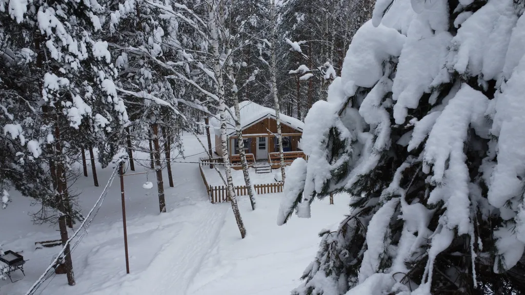 Коттедж Отдых в лесу с баней и горячим чаном — аренда посуточно в Коломна