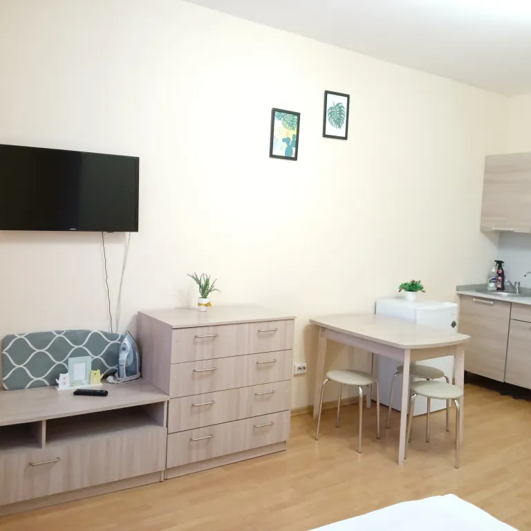 Квартира в центре города с видом на Покровскую башню и реку Великую