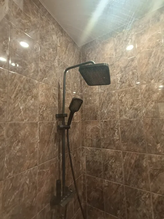 Новая корней патрушева кристалл