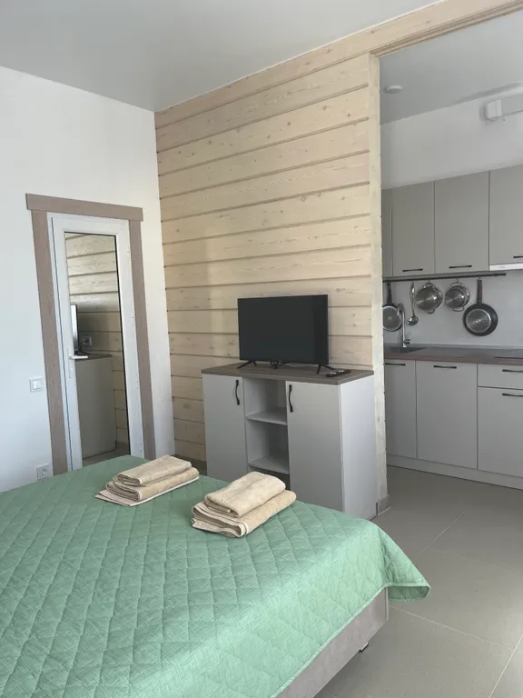 Квартира 1-комнатная Квартира — Севастополь