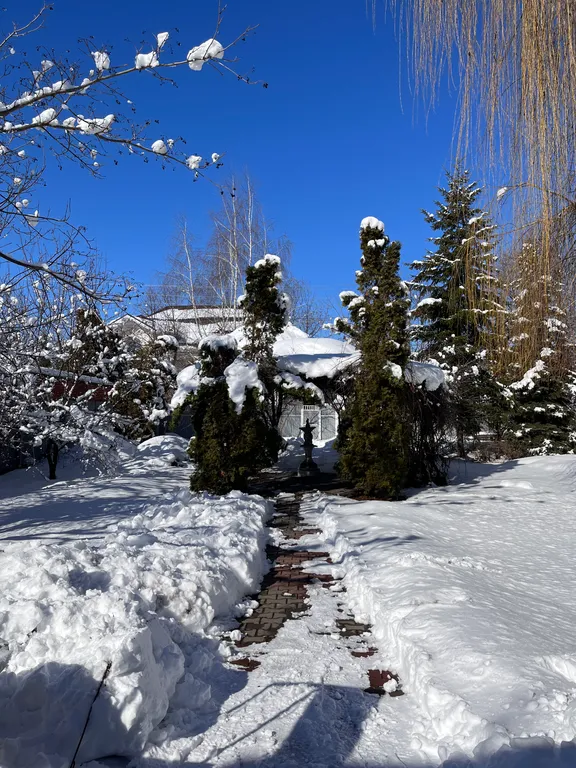 Усадьба Поспеева - дом с камином