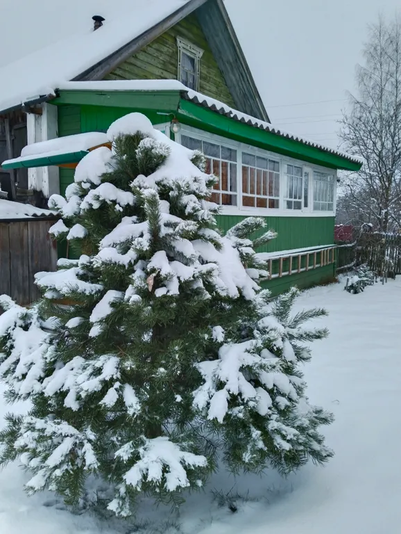 Коттедж 1-комнатный Дом — Тверь