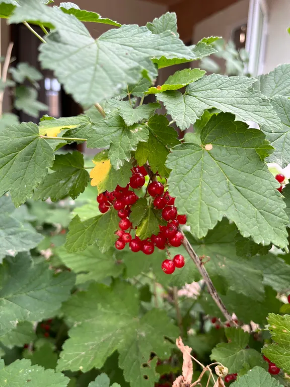 Дачный домик на берегу Каспийского моря