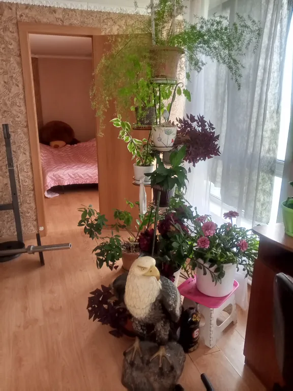 Уютное гнездышко