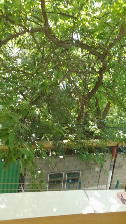 Уютно как дома