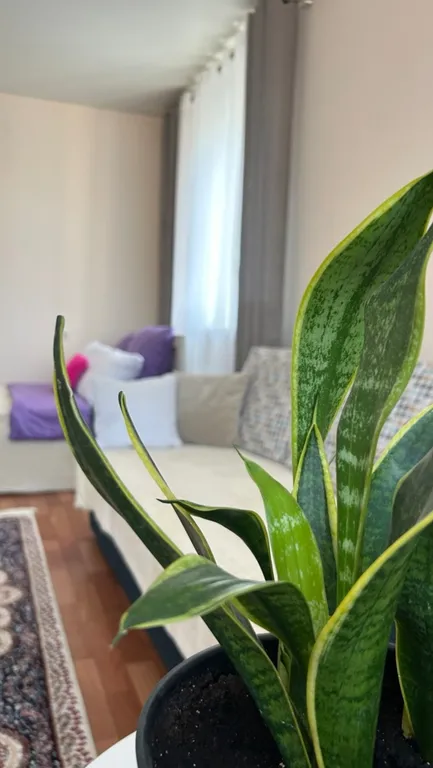 Большая 2-х комнатная квартира в самом центре города