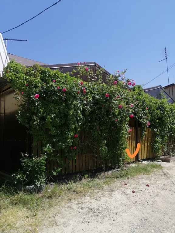 Уютный дом у моря