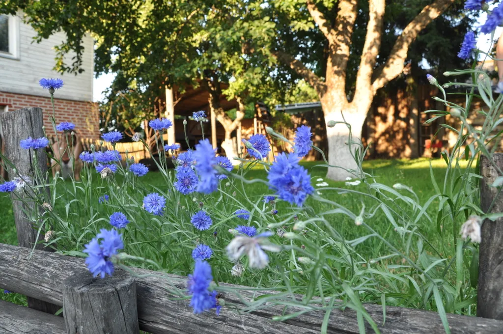 Апартамент в Усадьбе Малышева М.М