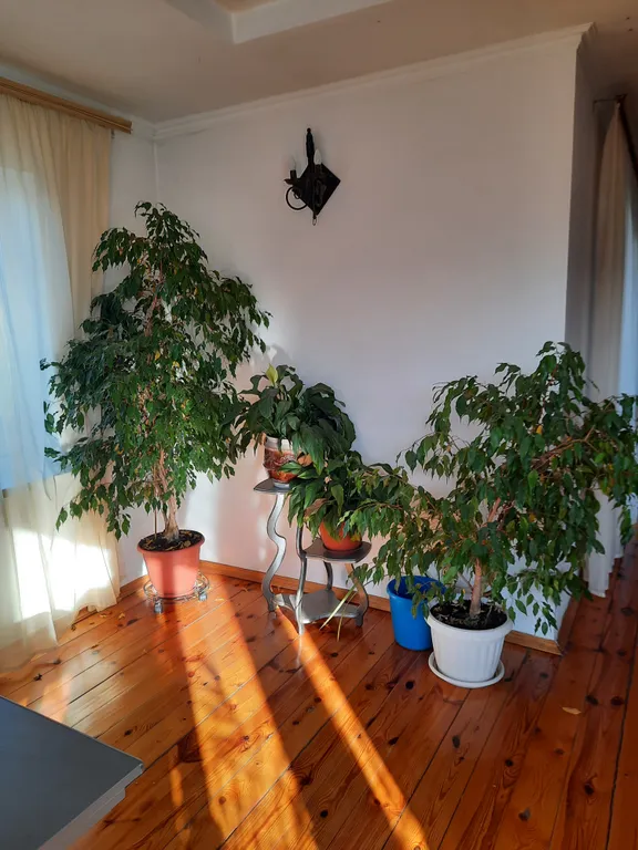 Уютный особняк