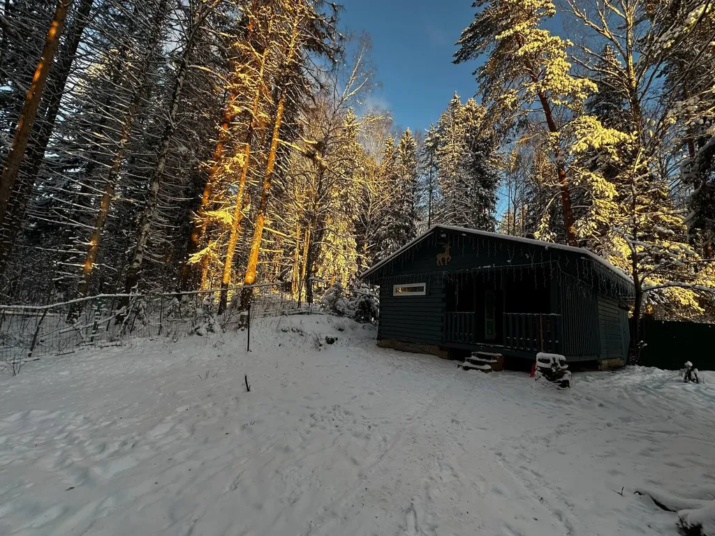 Дом в черте города в лесу