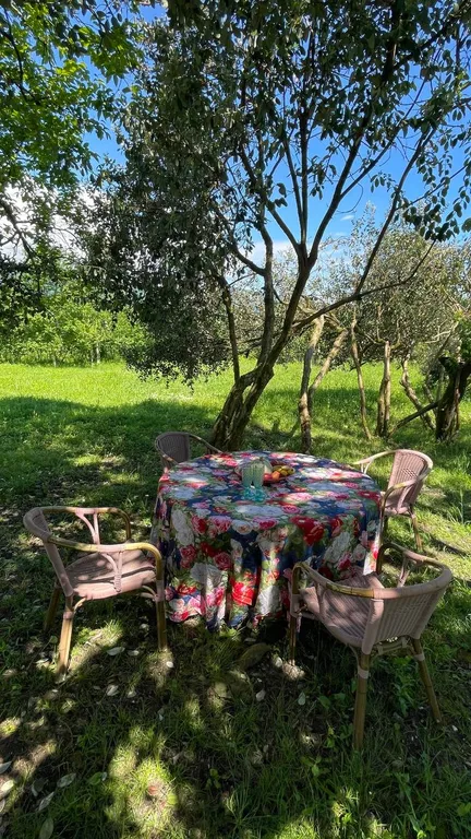 Дом в Абхазии, рядом сероводородные источники, море, река