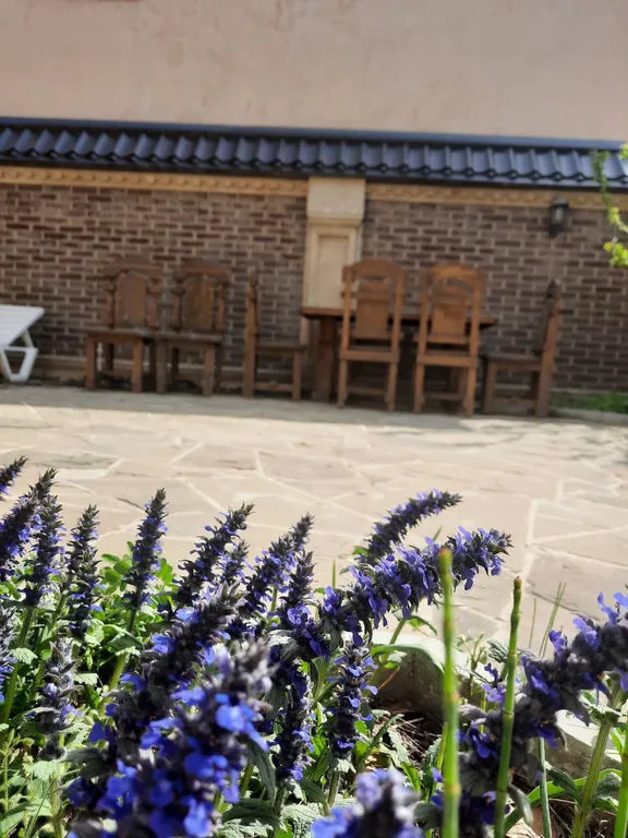 Дом у моря со всеми удобствами, в 2 минутах пешком до берега