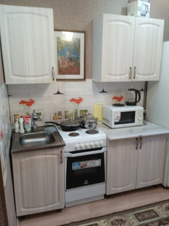 Уютная однокомнатная квартира