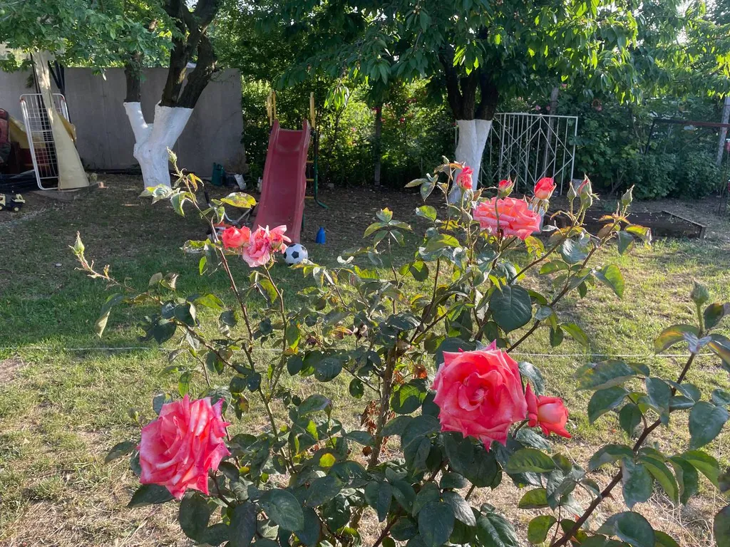 Уютный гостевой домик For Two